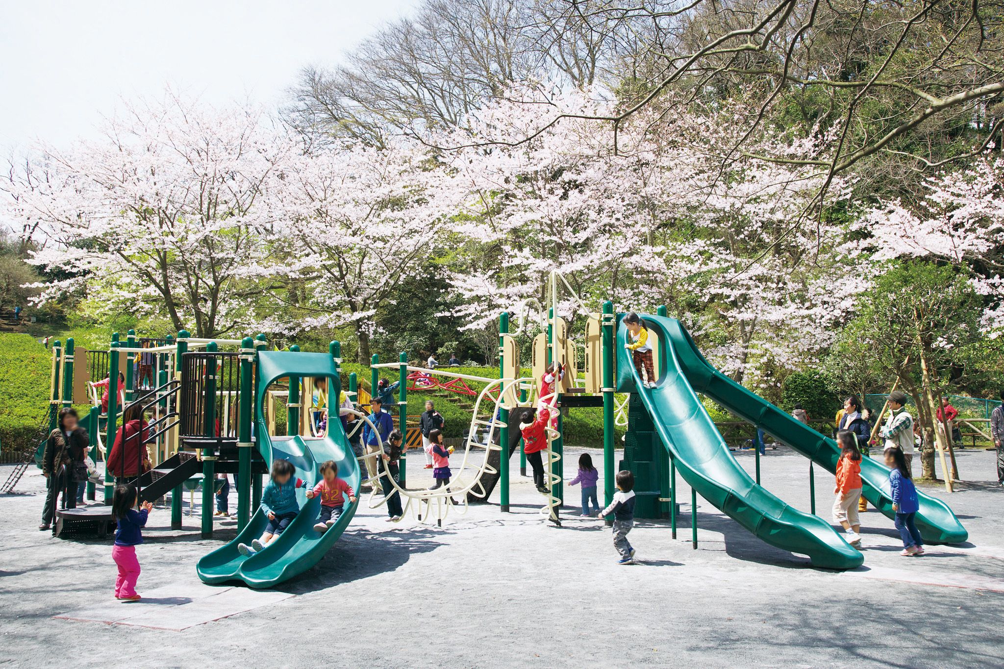 🌳 신린 공원(신바야시 코엔) 이미지 1